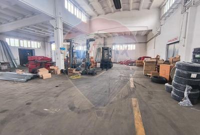 Hala de vanzare Drumul intre Tarlale - Pallady - 11
