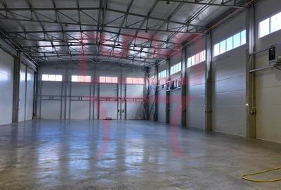 Inchiriere hala cu ISU zona Baciu  + platforma betonata 1.000mp - 4