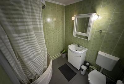 Apartament 2 camere de închiriat, Pantelimon - 8