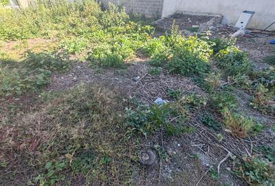Casa 3 camere libera la vanzare zona Avram Iancu - 22