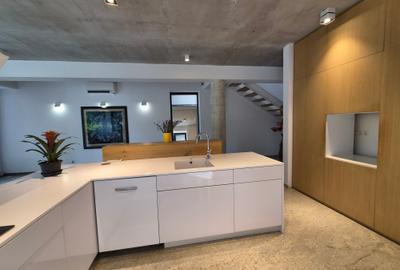 Inchiriere vila moderna Iancu Nicolae - 14