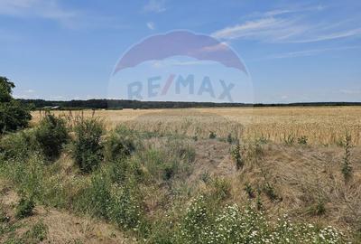Vanzare Teren Intravilan Buftea, 750mp, str. Ulmului, Pista Biciclete - 3