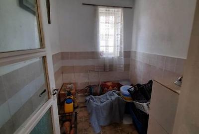 Sanmihaiu Roman 2 case vechi 110000 euro - 18