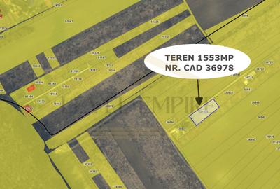 Teren 1553mp Săbăreni-Gulia, intravilan, deschidere 64m, Pădurea Cereanca - 2