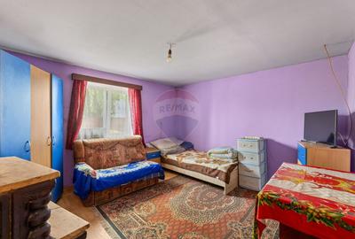 Casa compusa din doua corpuri in aceeasi curte - 13