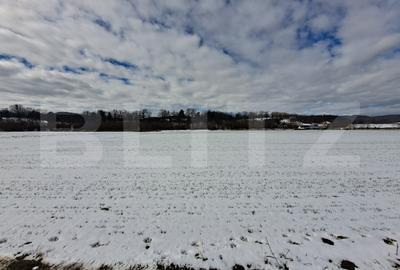 Teren agricol intravilan de 10640 mp, în Vulcan