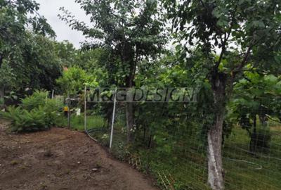 Casa veche zona Bogdanestilor cu teren 1033mp - 4