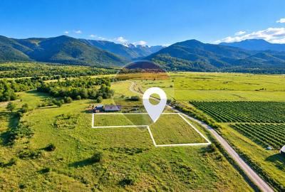 Teren 4.500 mp în Berivoi, lângă plantație fructe – comision 0% - 1