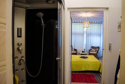 Vila multifamiliala /3 apartamente  si 1  studio /Sector  2 /curte individuala - 10