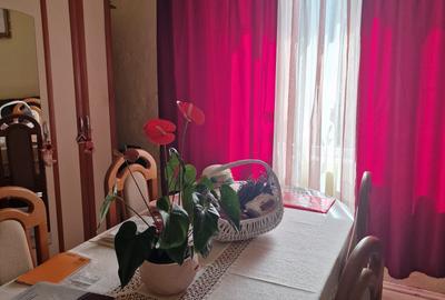Apartament 1 camera-Gradina privata-Parcul Copou - 4