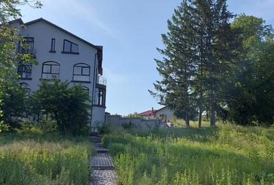 Domeniu de excepție pe Lacul Snagov 1,1 ha de intimitate și 140 m deschidere lac - 6