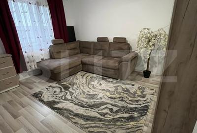 Apartament 1 camera etj 1 Lunca Cetatui, parcare inclusa - 3