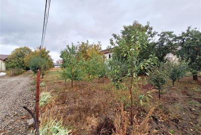 Teren 900 mp intravilan, zona Gradina cu Magnolii - 3