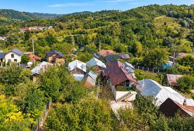 Casă cu 3 camere, anexe și livadă – Lopatnița, Șoimari - 16