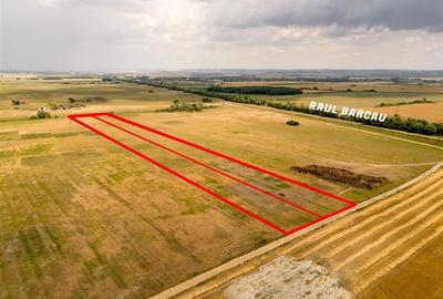 RECO teren extravilan ideal pentru balastiera in Rosiori - 5
