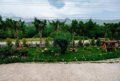 Pensiune de vânzare, Corbșori (Poenari)| potențial real de Business - 37