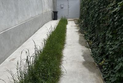 Casa singur curte de inchiriat, renovata, aer conditionat, centrala cu pivnita 2 - 4