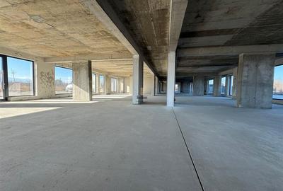 Spatiu Comercial, 700 mp, Sibiu - 6