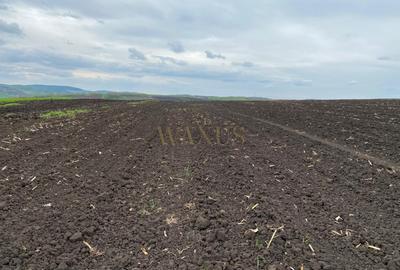 Teren agricol extravilan de 10200 mp, în Țagu