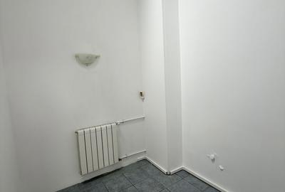 Vila Individuala | Baneasa-Aerogarii | Spatiu Birouri/Rezidential - 7