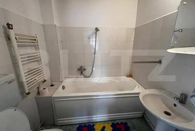 Casa individuala zona excelenta, Dambu Rotund, 307 mp curte - 13