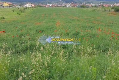 Teren Construcții intravilan de 4300 mp, în Cetate