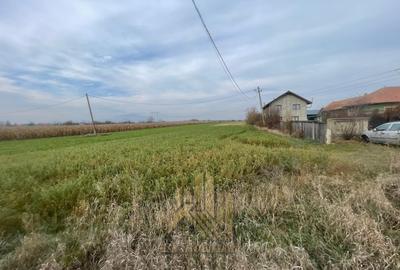 Vanzare-Teren-intravilan-6250mp-Calea-Feldioarei-Stupini-Brasov - 5