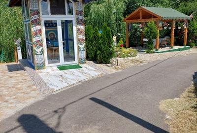 Vand casa cu livada in satul Ionesti Arges - 10