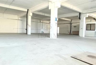 Hala industriala Productie sau depozit - Freidorf - 4