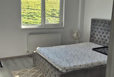 Apartament cu 2 camere în Vișan