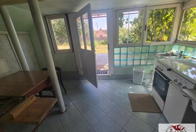 Vanzare casa in Almasu Mare - 5