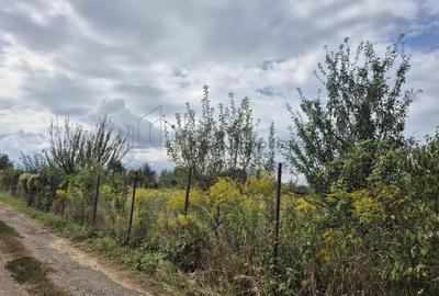 Teren intravilan Sânpetru – Livada - 2