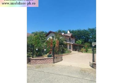 Casa de vanzare - Paulesti - 4
