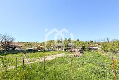 Teren Intravilan 800mp - Visea - 2