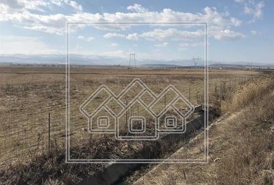 Teren agricol extravilan de 10000 mp, în Aeroport