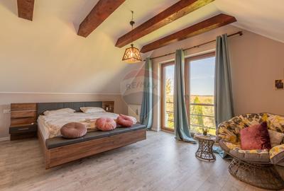 Proprietate exclusivista de vanzare: 2 case | 9 camere | 2000 mp teren - 17