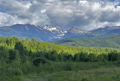 Vanzare parcele de teren 862mp / 1740mp pe Valea Avrigului, Județul Sibiu - 8