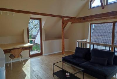 Apartament modern la curte - 8