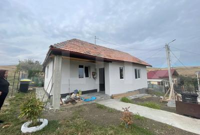 Casă individuală cu 2 camere în Copăceni
