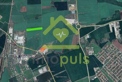 🗺️ Teren pe Torontalului in spate la Coca Cola, 10 euro/mp✨ - 4