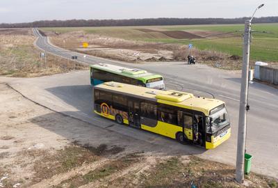 Teren intravilan la asfalt si statie autobuz Ilfov Cernica Posta - 1