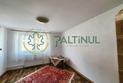 Casă Nucet, 864 mp teren cu pomi fructiferi – la 21 km de Sibiu - 7
