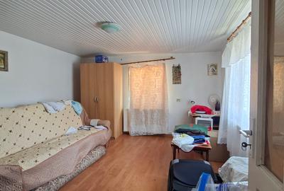 Sat Costi – Proprietate 1.905 mp cu casă, ideală pentru 2-3 locuințe - 9