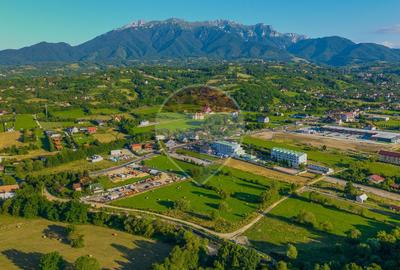 Teren intravilan 7.660 mp lângă Bran, panoramă 360°, comision 0% - 22