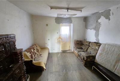 Casa cu teren intravilan de 2.211 mp | Centru, comuna Apa - 15