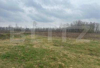 Teren Construcții intravilan de 4844 mp, în Periferie
