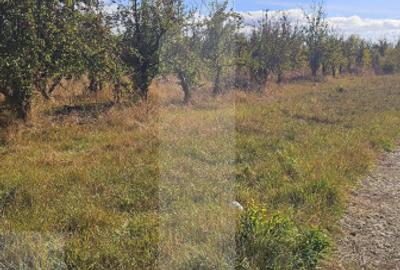 Teren intravilan, 617 mp, zona Evergreen - 4