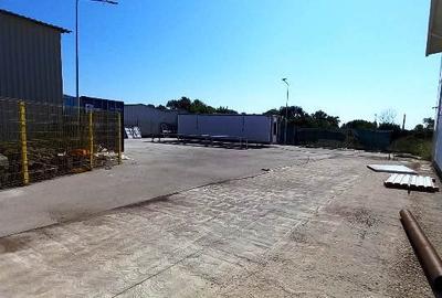 Magurele,hala 1000 mp,constructie noua ,ideal depozitare,productie - 4