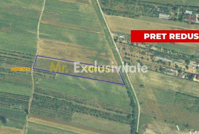 Teren Construcții intravilan de 7545 mp, în Argeșelu