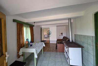 Casă cu teren si pomi fructiferi sat Vălișoara,jud HD la 28 km de Deva - 17